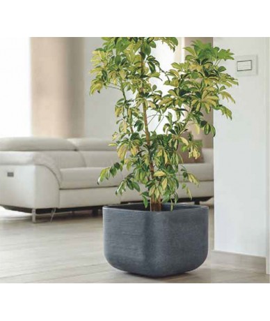 Cubo Lago di Bracciano Vasar